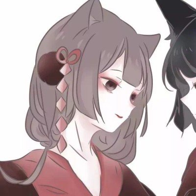 曝月鳞绮纪又撤档了